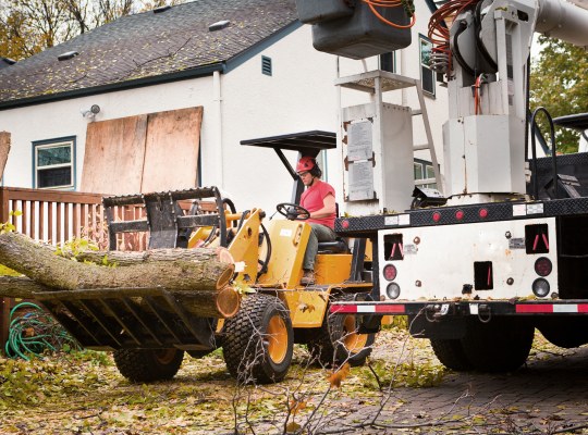 Tree Removal - Land and Tree Removal