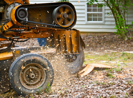 Stump Grinding - Land and Tree Removal